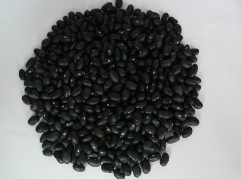 Black soybean seed